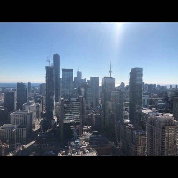 Meet your Posher, Maddy - Picture 1 of 1